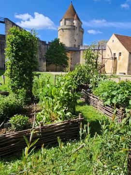 vue du jardin médiéval avec le château en arrière-plan 