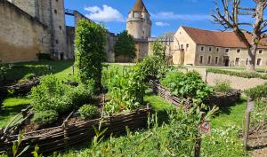 vue du jardin médiéval avec le château en arrière-plan 