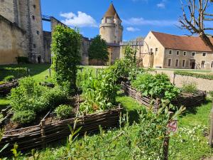 vue du jardin médiéval avec le château en arrière-plan 
